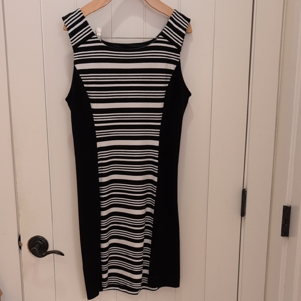Express Black and White Striped Mini Dress